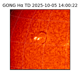gong - 2025-10-05T14:00:22