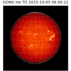 gong - 2025-10-05T08:00:22