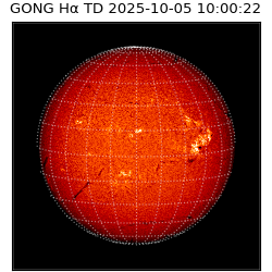 gong - 2025-10-05T10:00:22