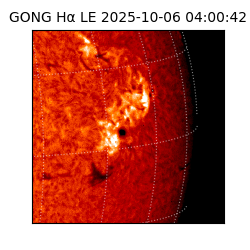 gong - 2025-10-06T04:00:42