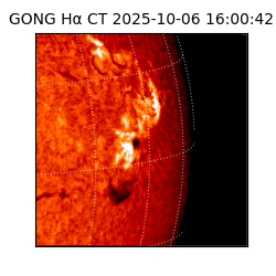 gong - 2025-10-06T16:00:42