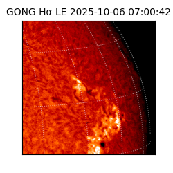 gong - 2025-10-06T07:00:42