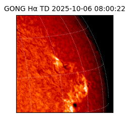 gong - 2025-10-06T08:00:22