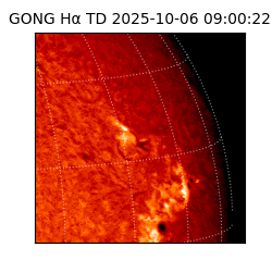 gong - 2025-10-06T09:00:22