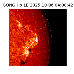 gong - 2025-10-06T04:00:42