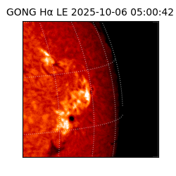 gong - 2025-10-06T05:00:42