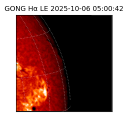 gong - 2025-10-06T05:00:42