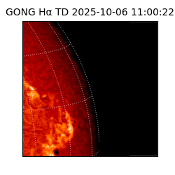gong - 2025-10-06T11:00:22