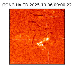 gong - 2025-10-06T09:00:22