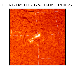 gong - 2025-10-06T11:00:22