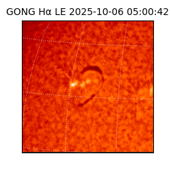 gong - 2025-10-06T05:00:42