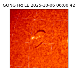 gong - 2025-10-06T06:00:42