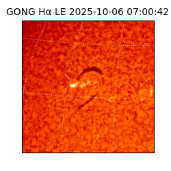 gong - 2025-10-06T07:00:42