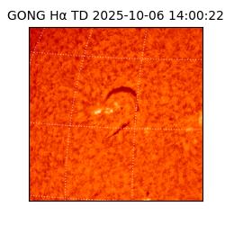 gong - 2025-10-06T14:00:22