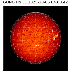 gong - 2025-10-06T04:00:42