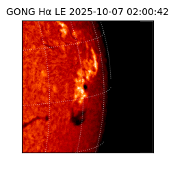 gong - 2025-10-07T02:00:42