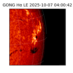 gong - 2025-10-07T04:00:42