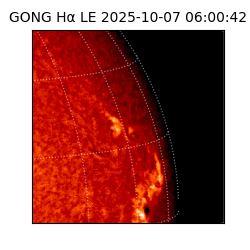 gong - 2025-10-07T06:00:42