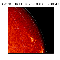 gong - 2025-10-07T06:00:42