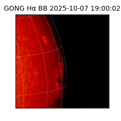 gong - 2025-10-07T19:00:02
