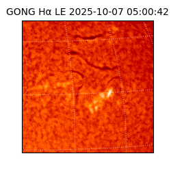 gong - 2025-10-07T05:00:42