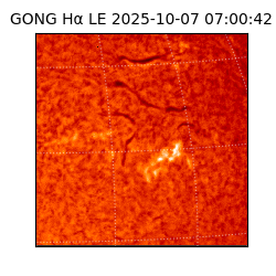 gong - 2025-10-07T07:00:42