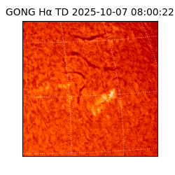 gong - 2025-10-07T08:00:22