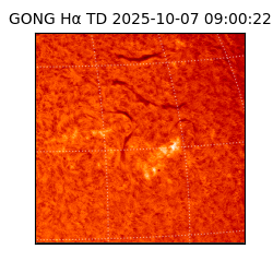 gong - 2025-10-07T09:00:22