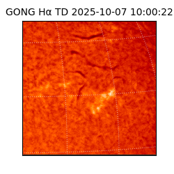 gong - 2025-10-07T10:00:22