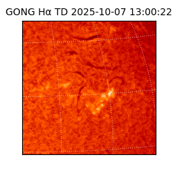 gong - 2025-10-07T13:00:22