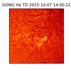 gong - 2025-10-07T14:00:22