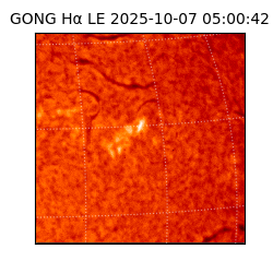 gong - 2025-10-07T05:00:42