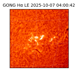 gong - 2025-10-07T04:00:42