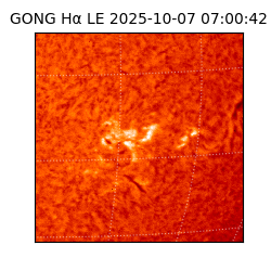 gong - 2025-10-07T07:00:42