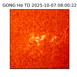 gong - 2025-10-07T08:00:22