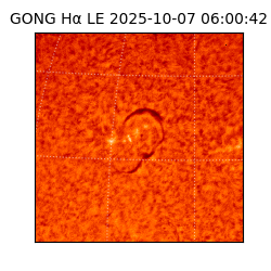 gong - 2025-10-07T06:00:42