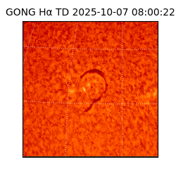 gong - 2025-10-07T08:00:22