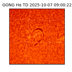 gong - 2025-10-07T09:00:22