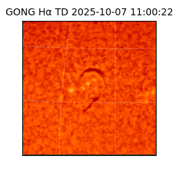 gong - 2025-10-07T11:00:22