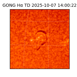 gong - 2025-10-07T14:00:22