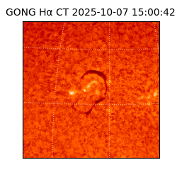 gong - 2025-10-07T15:00:42