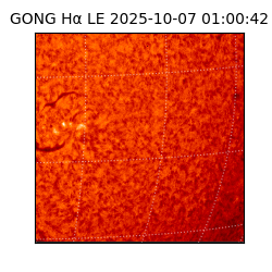 gong - 2025-10-07T01:00:42