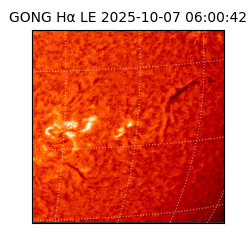 gong - 2025-10-07T06:00:42