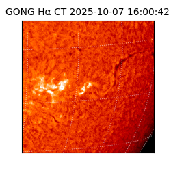 gong - 2025-10-07T16:00:42