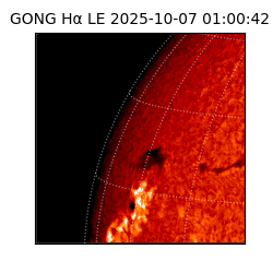 gong - 2025-10-07T01:00:42