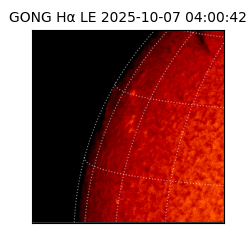gong - 2025-10-07T04:00:42