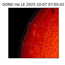 gong - 2025-10-07T07:00:42