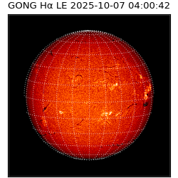 gong - 2025-10-07T04:00:42