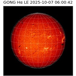 gong - 2025-10-07T06:00:42