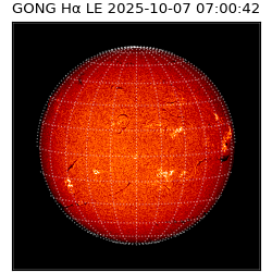 gong - 2025-10-07T07:00:42